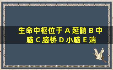 生命中枢位于 A 延髓 B 中脑 C 脑桥 D 小脑 E 端脑